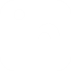 linkedin-icon